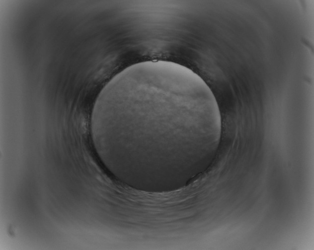 X0000098110039200804251438