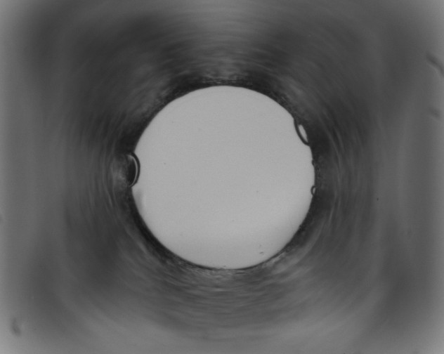 X0000098110040200804251438