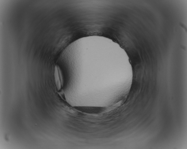 X0000098110041200804251438