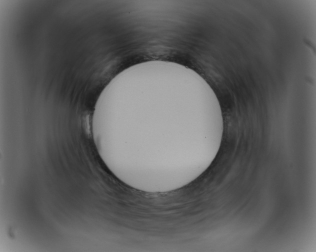 X0000098110042200804251438