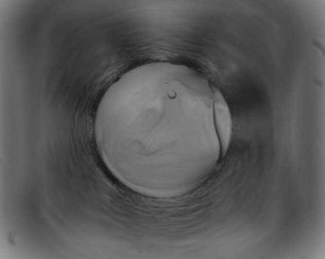 X0000098110043200804251438