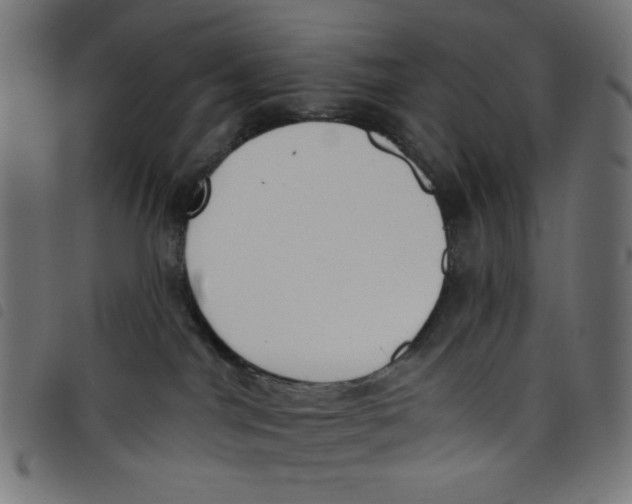 X0000098110044200804251438