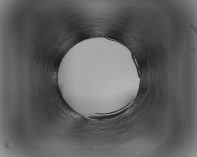 X0000098110045200804251438