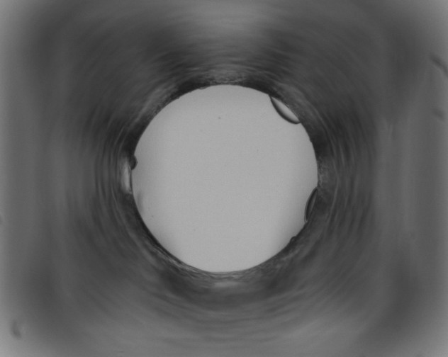 X0000098110046200804251438