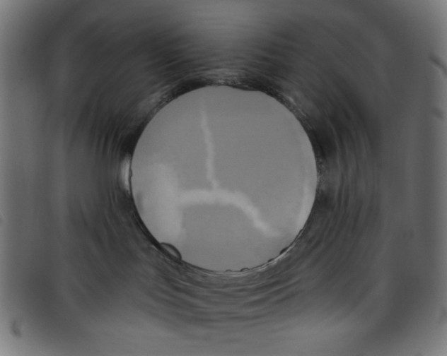 X0000098110047200804251438