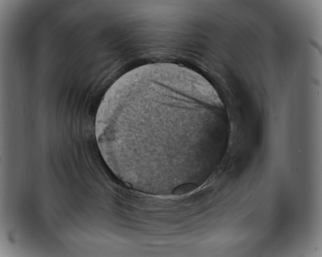 X0000098110048200804251438