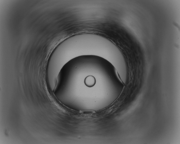 X0000098110049200804251437