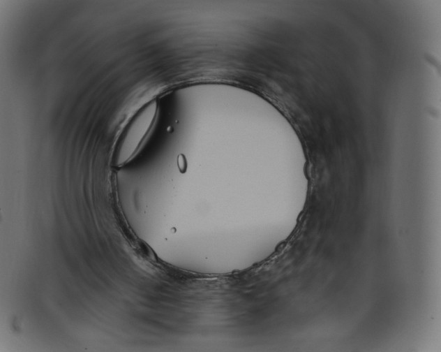 X0000098110050200804251437