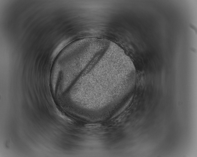 X0000098110051200804251437