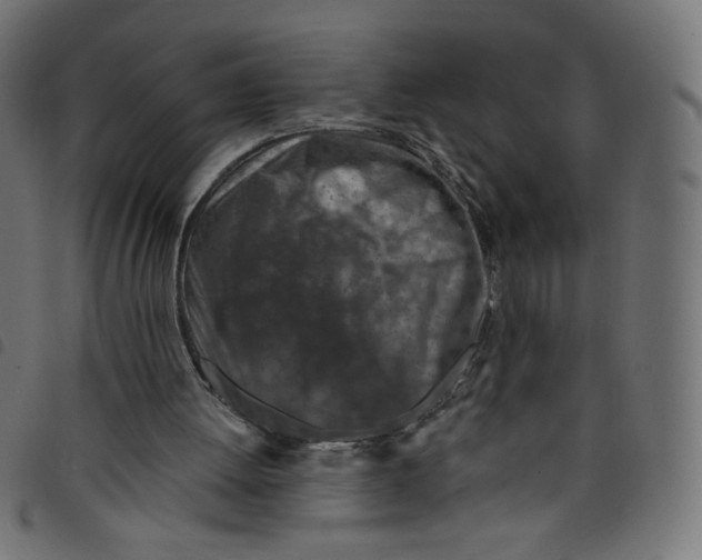 X0000098110052200804251437