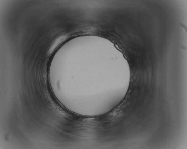 X0000098110054200804251437