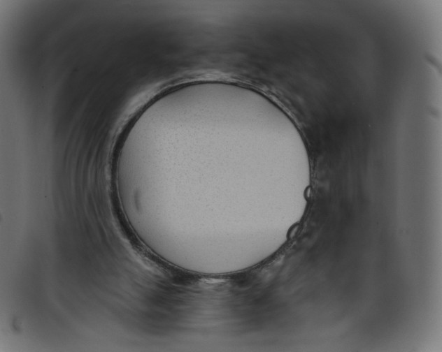 X0000098110055200804251437