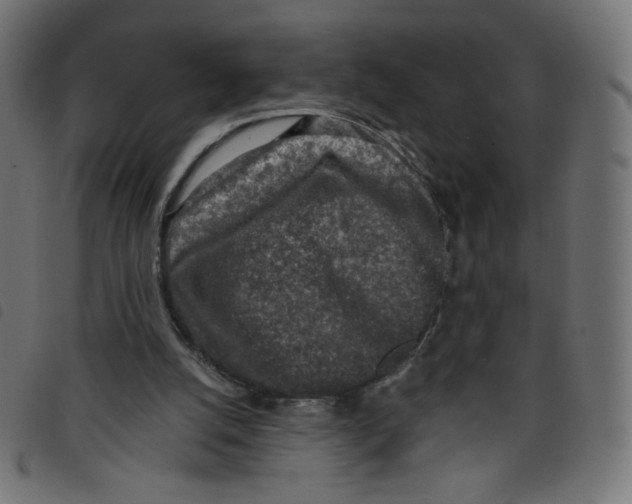 X0000098110056200804251437