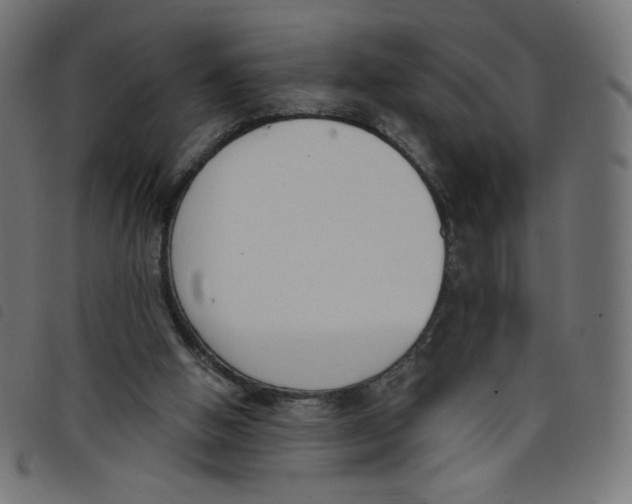 X0000098110058200804251437