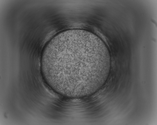 X0000098110059200804251437