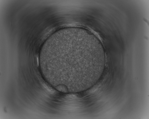 X0000098110061200804251437