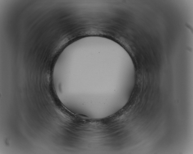 X0000098110063200804251437