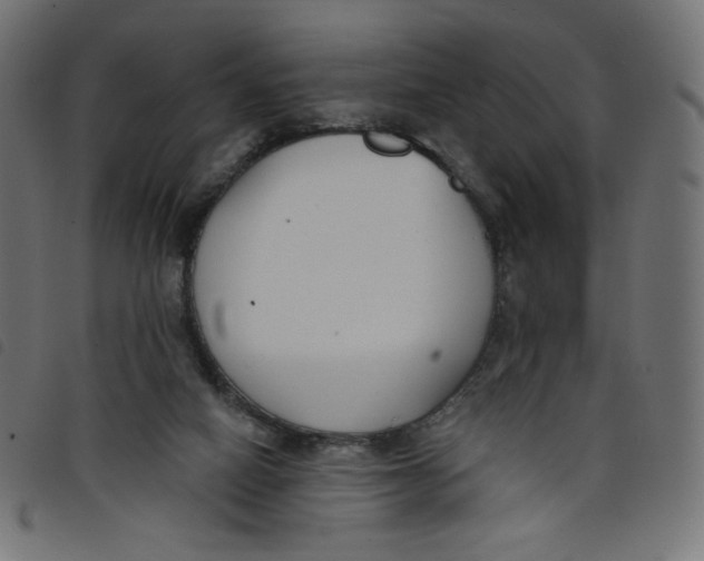 X0000098110066200804251438