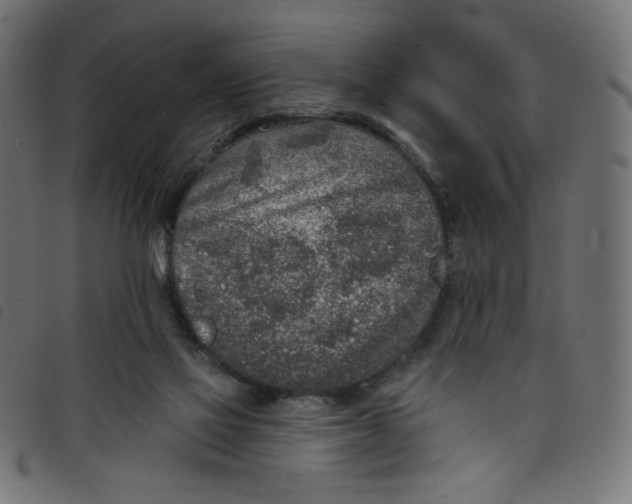 X0000098110069200804251438