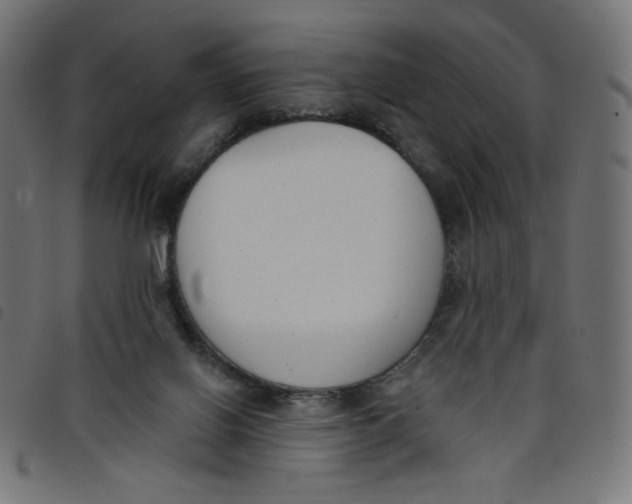 X0000098110070200804251438