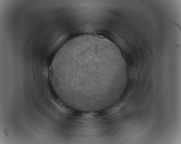 X0000098110072200804251438