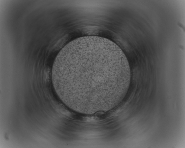 X0000098110073200804251438