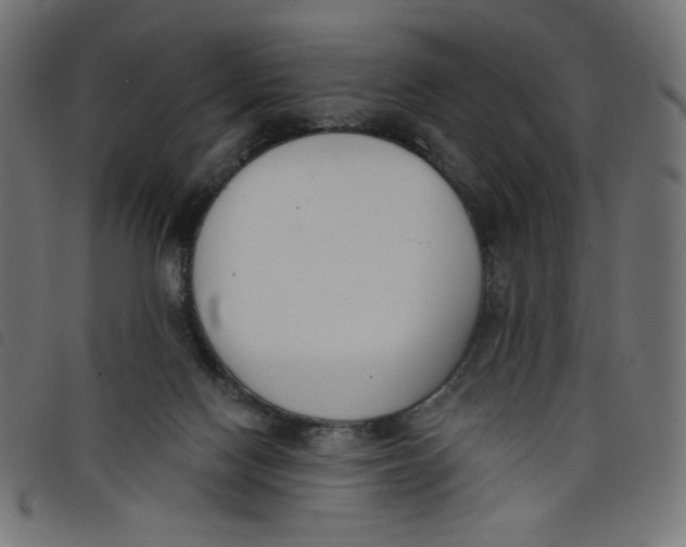 X0000098110074200804251438