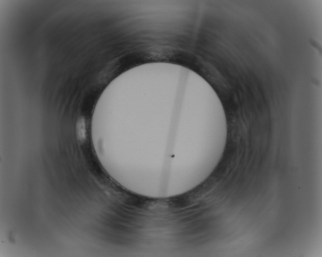 X0000098110075200804251438