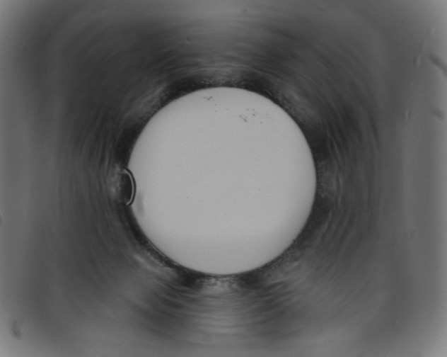 X0000098110077200804251438