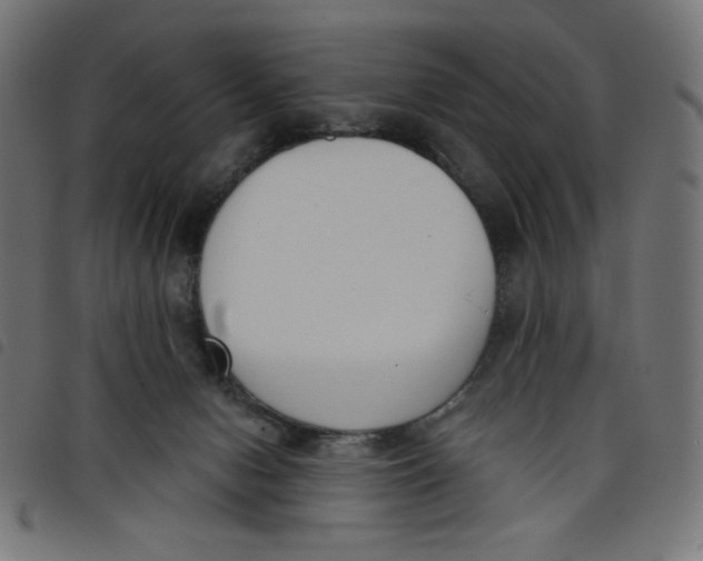 X0000098110078200804251438