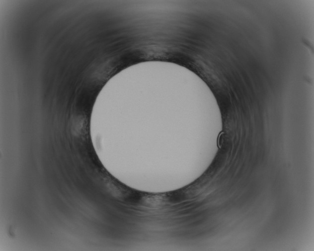 X0000098110079200804251438