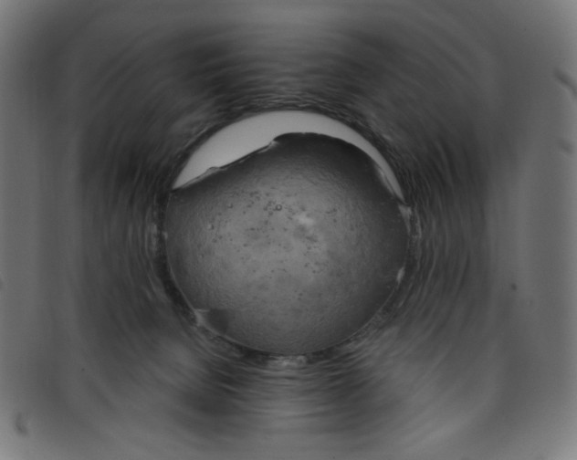 X0000098110080200804251438