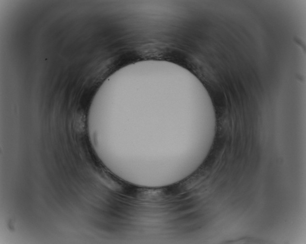 X0000098110081200804251438