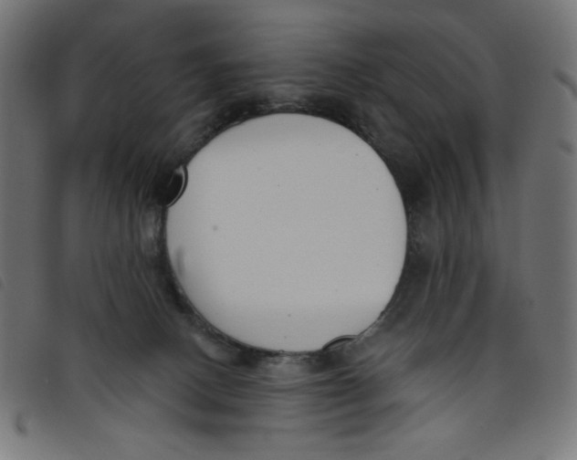 X0000098110082200804251438