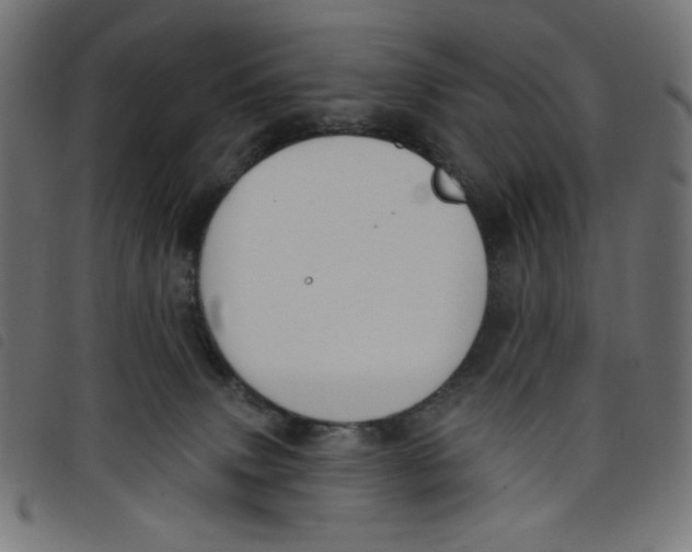 X0000098110083200804251438