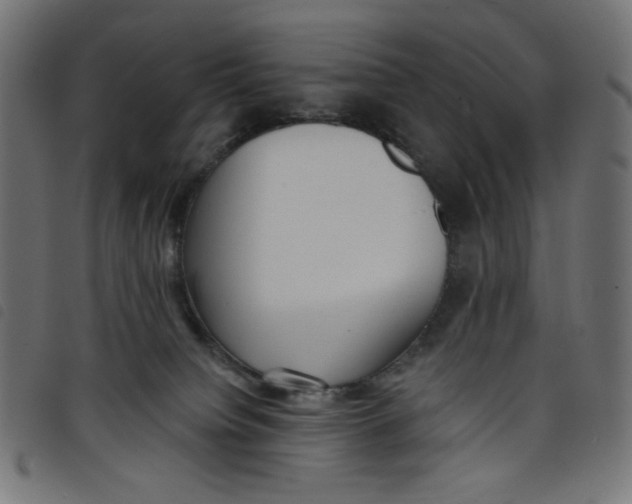 X0000098110084200804251438