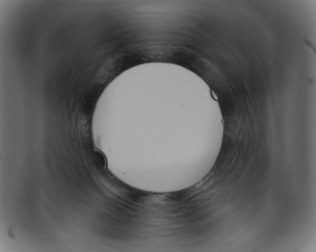 X0000098110086200804251438