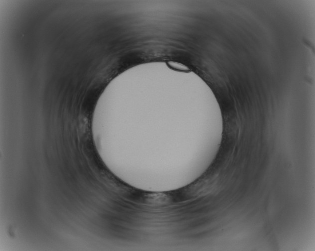 X0000098110087200804251438