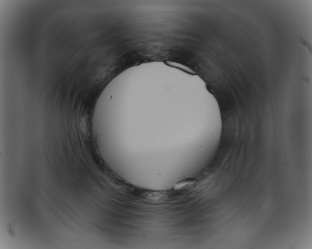 X0000098110088200804251438