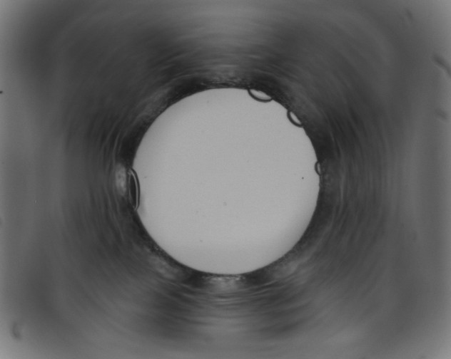 X0000098110089200804251438