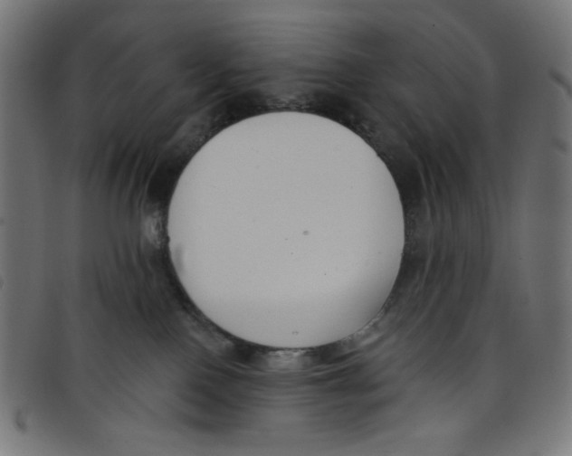 X0000098110090200804251438