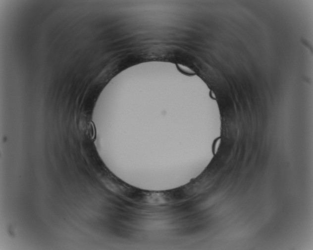 X0000098110091200804251438