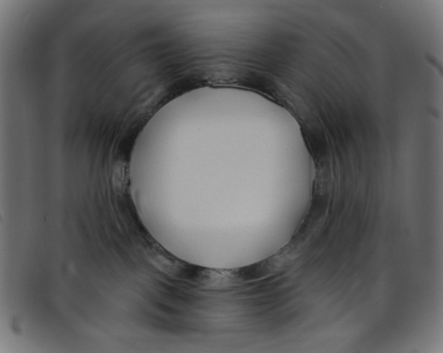 X0000098110093200804251438