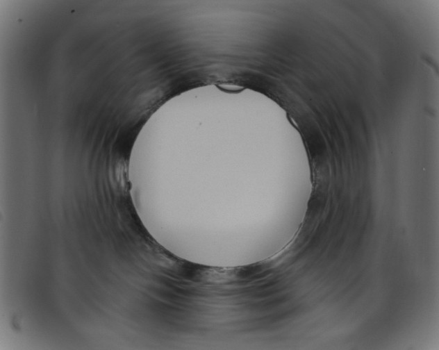 X0000098110094200804251438