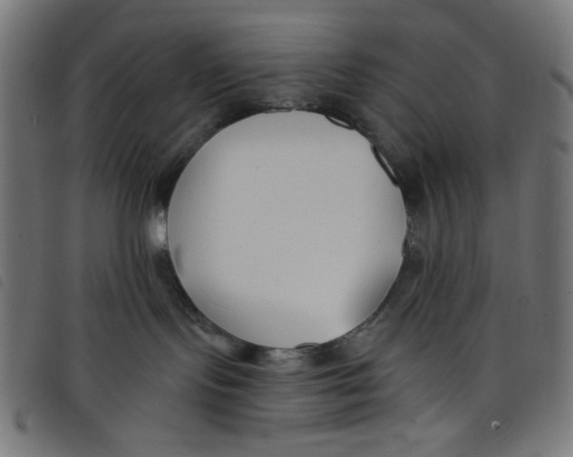 X0000098110095200804251438