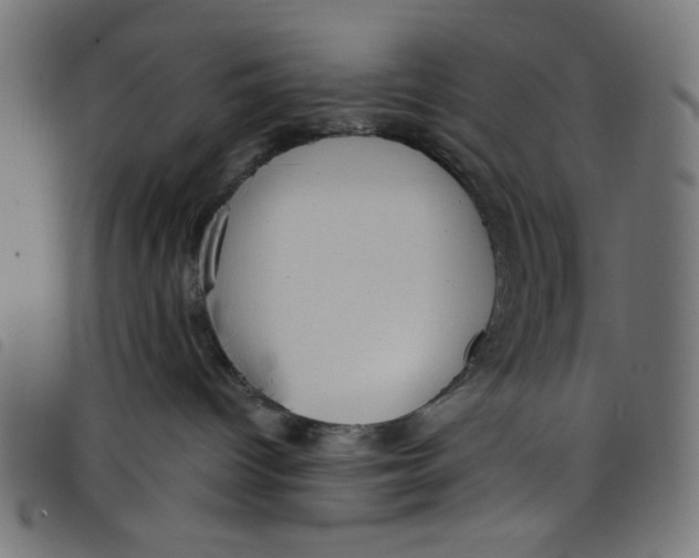 X0000098110096200804251438