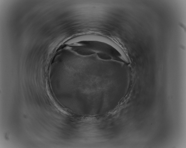 X0000098110097200804251437