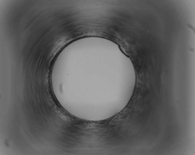 X0000098110098200804251437