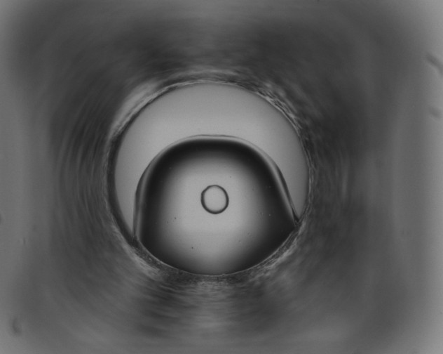 X0000098110101200804251437