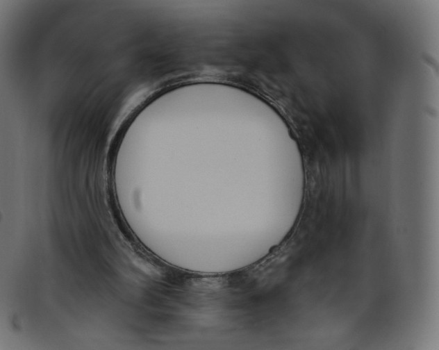 X0000098110102200804251437